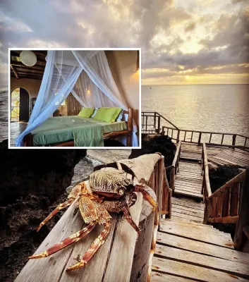 Room in Guest Room - Colobus Suite of 40m2 in Villa 560 m2, View of the Indian Ocean Các khách sạn ở Shimoni