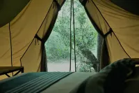 Base Camp Wilpattu - camping
