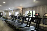 Thornton Hall Hotel & Spa - Phòng Gym