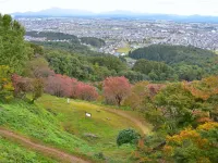 Toyoko Inn Joetsu Myoko Eki Nishi Guchi