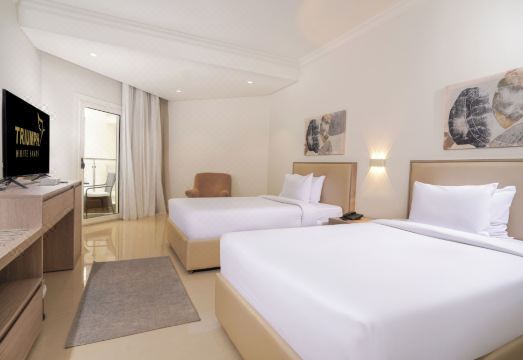 1. 트라이엄프 화이..