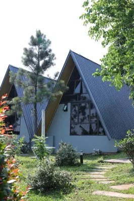 سوا ريتريت سوك سون