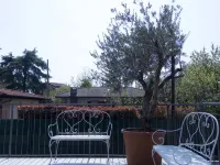 Hotel Rossovino Como Hotels near TERME ROMANE DI COMO