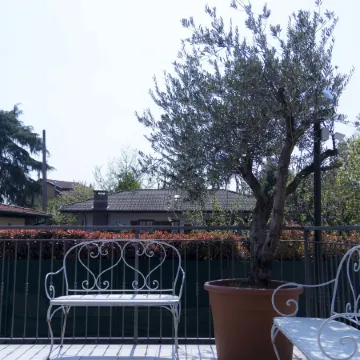 Hotel Rossovino Como