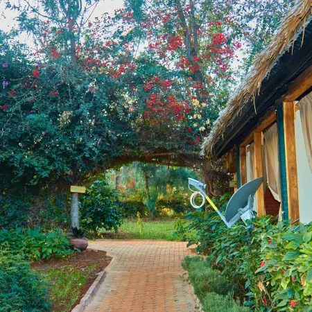 Njia Panda Tented Lodge and Campsite