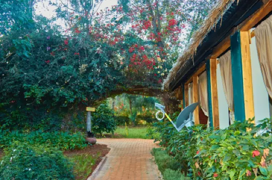 Njia Panda Tented Lodge and Campsite