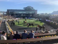 Avoca Randwick by Sydney Lodges Hotels in Randwick