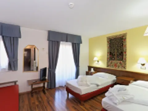 ホテル バイタ クレメンティ ボルミオのホテル