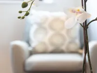 Hampden Apartments - the Henry Các khách sạn ở Windsor
