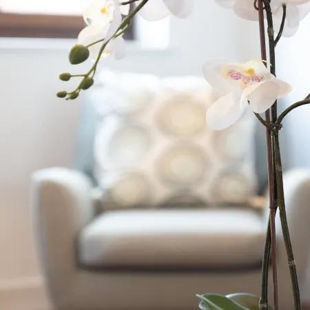 Hampden Apartments - the Henry