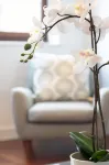 Hampden Apartments - the Henry