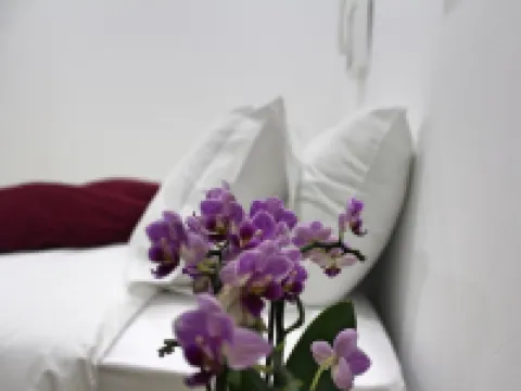 Nine Senses Ovar otelleri