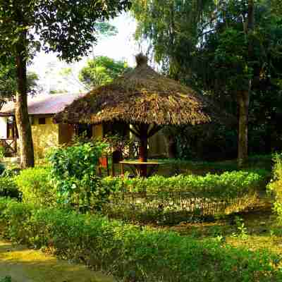 Nature Safari Resort Hotel Exterior