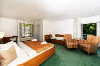 Steiger Parkhotel Hohnstein Hotels in der Nähe von Ulbersdorf