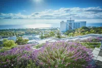 Grand Nikko Awaji - Romantic