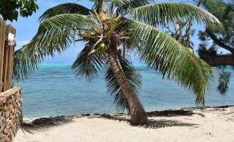 Fare Aute Beach