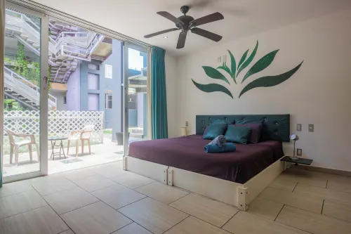 Iris Studios & Apartments - Homestays