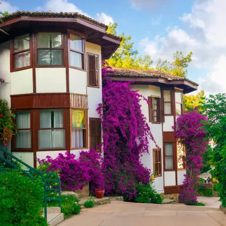 Club & Hotel Letoonia