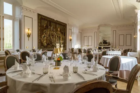 Château de Dissay, The Originals Collection Отели в г. Вунёй-Сюр-Вьенна