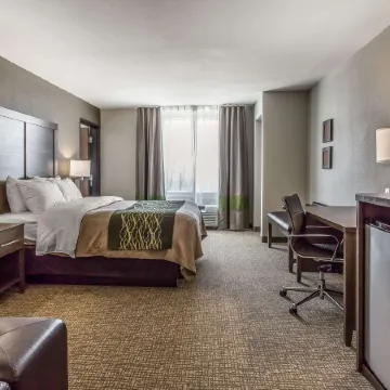 Comfort Inn & Suites Snyder