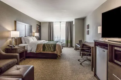 Comfort Inn & Suites Snyder Hotels near 1818 Arthouse