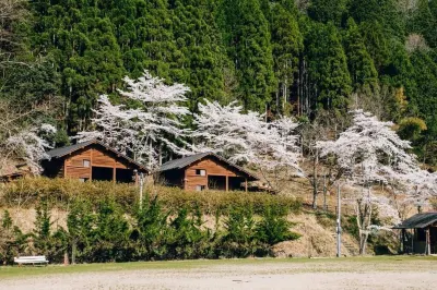 日吉森林度假日式旅館