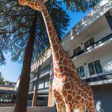 Hilton Garden Inn Davis Downtown Hotel Exterior