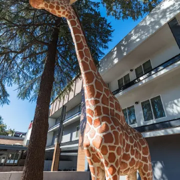 Hilton Garden Inn Davis Downtown