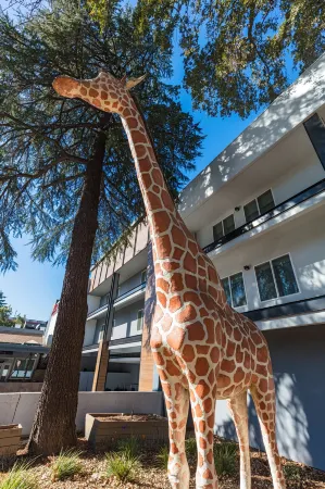 Hilton Garden Inn Davis Downtown