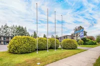 블루버드 모텔 너나이모