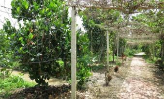 Le Garden Villa Homestay