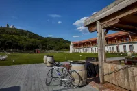 Hotel Ryzlink Hotels in Hustopece