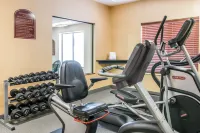Quality Inn & Suites Niles - Gym