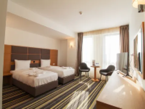 Hotel Avenue - Avenue Hotels Hotels in Buzau