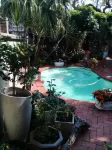 Beechwood B&B - Pool