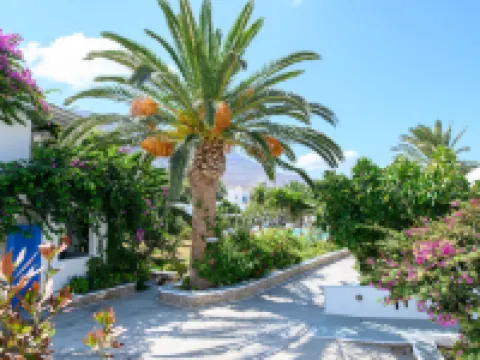 Lakki Village Hotels in Amorgos