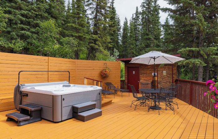 Denali Crow's Nest Cabins