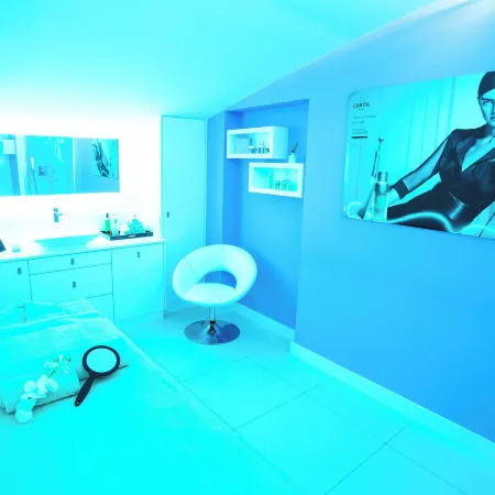 Best Western Plus Cannes Riviera Spa