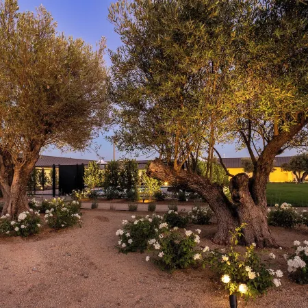 Hotel Bayit