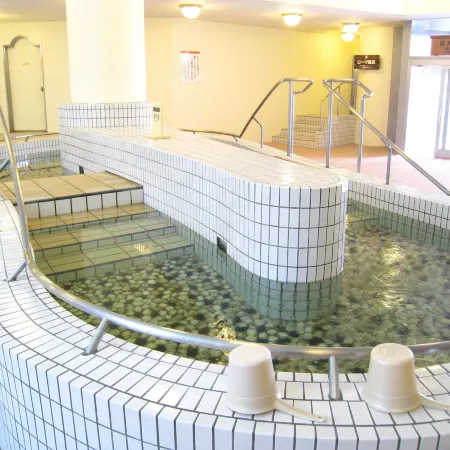 Chateraise Gateaux Kingdom Sapporo Hotel & Spa Resort
