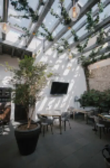 Casona 142 Hotel Boutique Orizaba