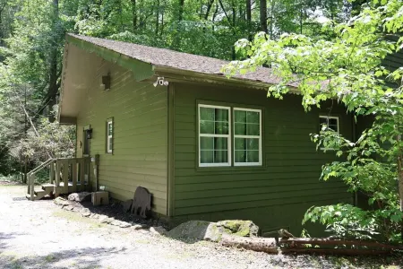 Mountain Resort Cabin with Outdoor Gas Firepit, and Mountain Stream!
