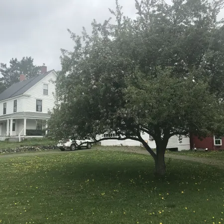 Sewall House Yoga Retreat