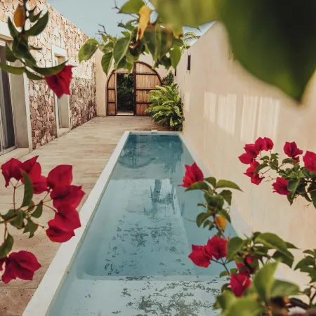 Villa Quetzalpapalotl - Alberca Privada