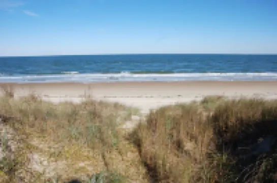 Beach Side Studio #5 -  Pet Friendly, WiFi, Off-Street Parking, Large Smart TV