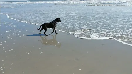 Oh HOW SWEET IS THAT VIEW<br>Brigantine Island, so peaceful, quiet, relaxing