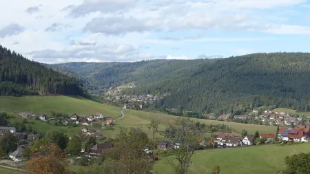 Ferienwohnung am Hirschkopf mit Ausblick auf Baiersbronn Отели в г. Байрсброн
