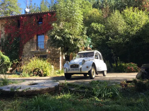 Rural apartment, special for families and pets, river and mountain views.