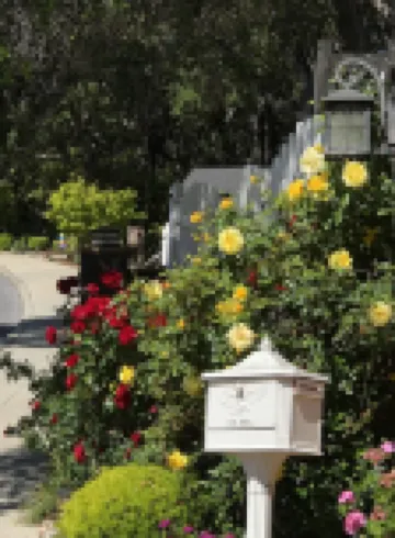 Bright Garden Guest Suite in Los Gatos, Heart of Silicon Valley