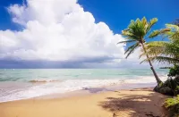 Beautiful! Puerto Rico Getaway Beachfront Penthouse